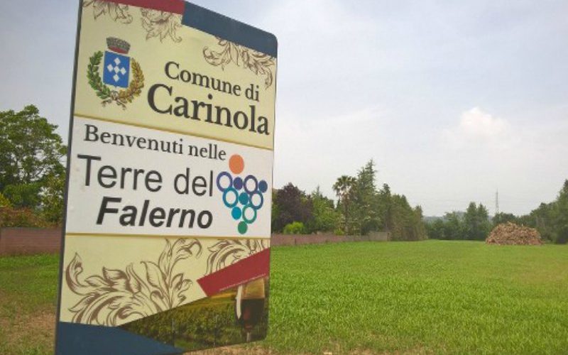 Falerno: un tour enoturistico per vivere la vendemmia dell’anno 2770 “ab Urbe condita”