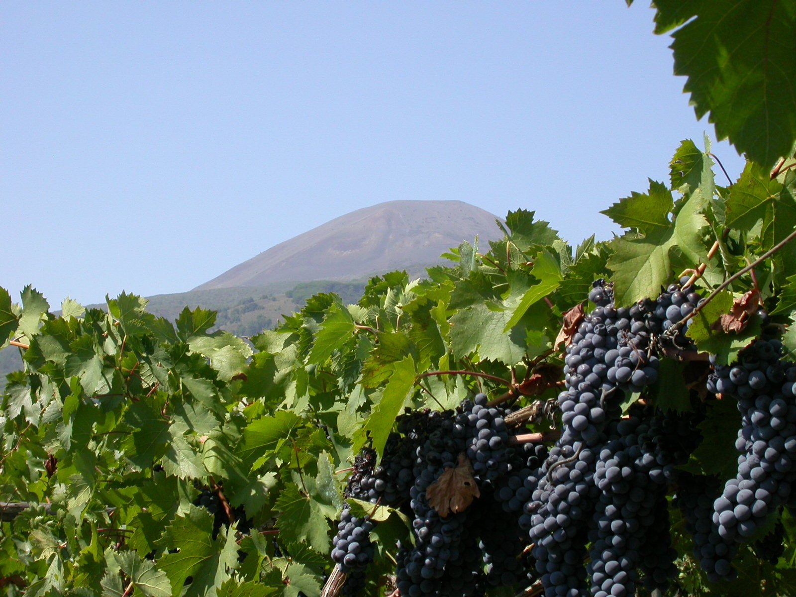 The History Of Vesuvius The Most Famous Volcano In The World